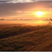 Robert Brown's photo