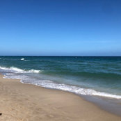 Melissa Goldstein's photo