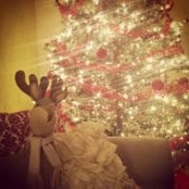 Valerie Brand's photo