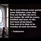 Sharon Morabito's photo