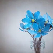 Kristal Fecteau's photo