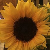 Wanda Brodeur's photo