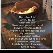 Laurie Rouse's photo