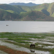 郑海伦's photo