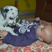 Surabhi Bhanot's photo
