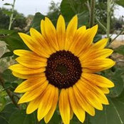 Teri Walton's photo