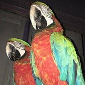 Alyce Johnson's photo