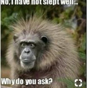 Sandy Pesendorfer's photo
