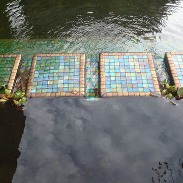 Natural Swimming Pools