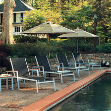 BP Backyard