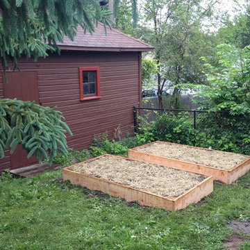 Kitchen Garden