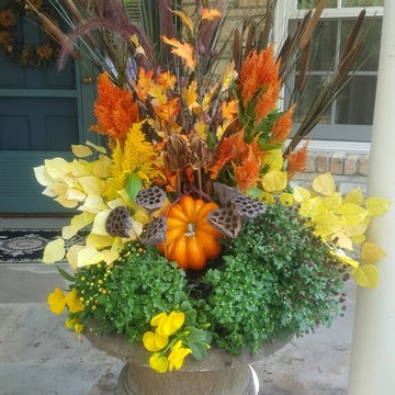 Edina Fall Annuals