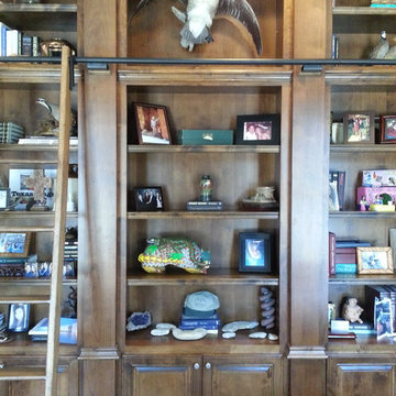 Library with Concealed Door to exercize room