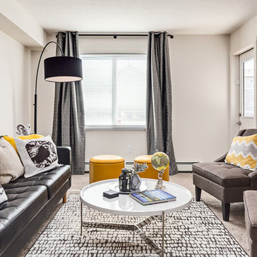 Highstreet Ventures - Show Suites