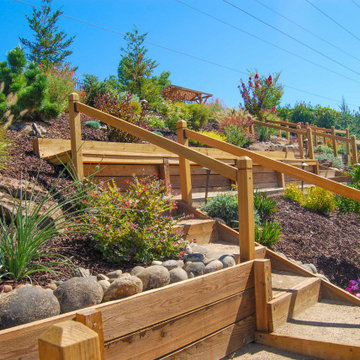 Terraced Backyard
