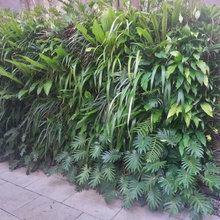 Vertical Garden