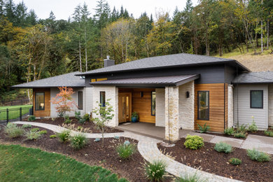 Example of a large trendy one-story exterior home design