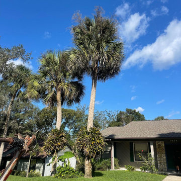 New Landscaping Jobs