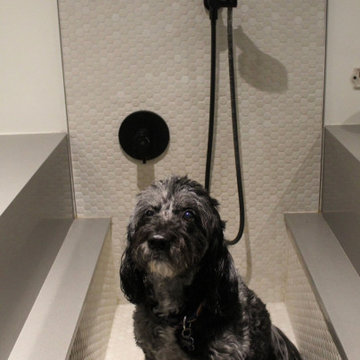 Mud room with dog shower