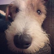 Leah Gorham Pino's photo