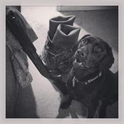 Alec Wessell's photo