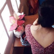 Ning Nguyen's photo