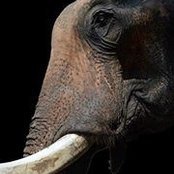 Helle Rasmussen's photo