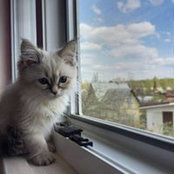 Наталья Новикова's photo