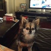 Deborah Boren Bailes's photo