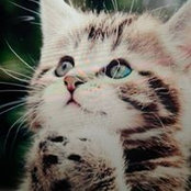 Michelle Maxien's photo