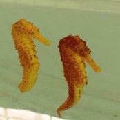 Sunayana Singh's photo