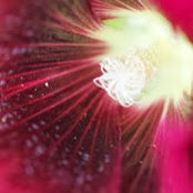 Rebekkah Warren's photo