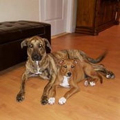 Eileen Bunch's photo