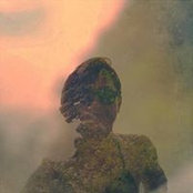 Negar PDさんの写真