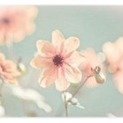 Mengjiao Wei's photo