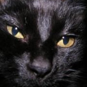 Jon Cronin's photo