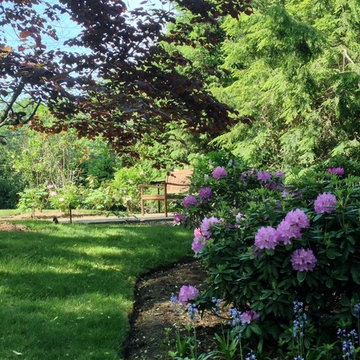 Thistle Lane