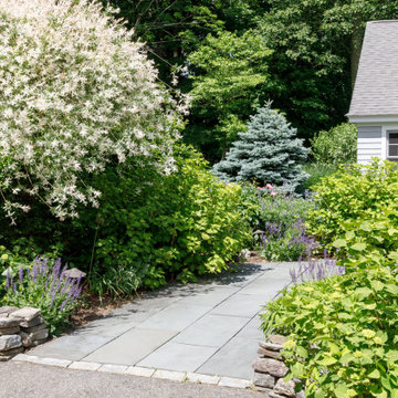 Mature Garden