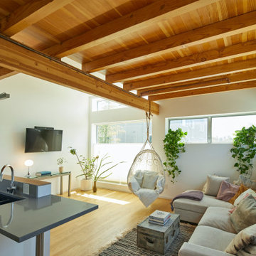 Venice Beach House