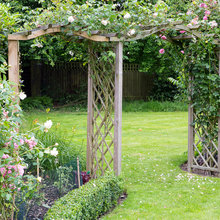 Garden dreams