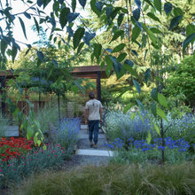 Yard landscape