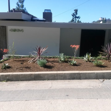 Front Landscape Before & After