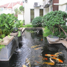 Patio Ideas