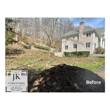 Tree Removals
