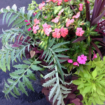 container gardens