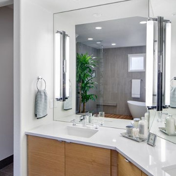 Hogan Remodel