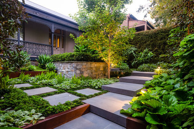 This is an example of a mid-sized contemporary front yard garden in Melbourne with a garden path.