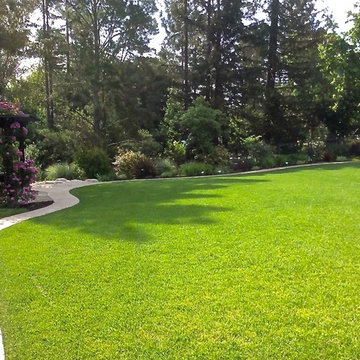 Orinda Backyard Park
