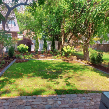 Shady back yard in Jamaica Plain