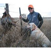 Tim Anderson's photo